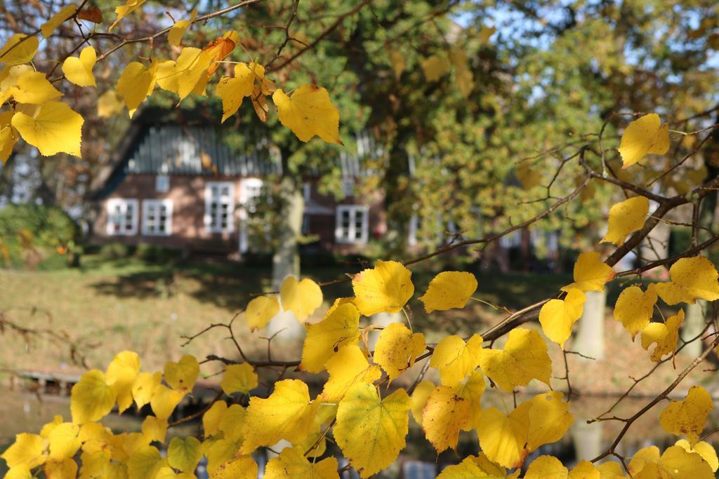 Bielenberg 37 Villa Kollmar Exteriör bild